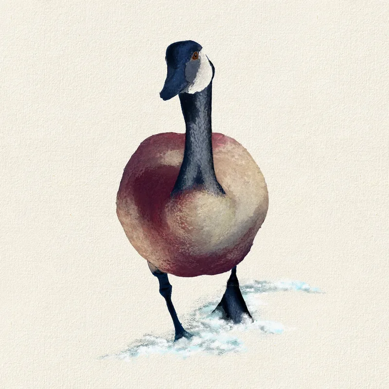 Abstract Duck