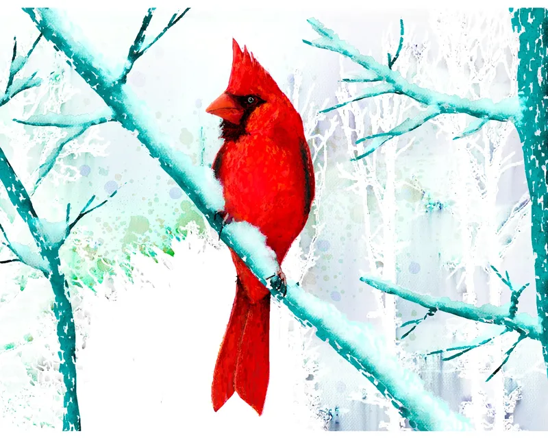 Cardinal In Winter
