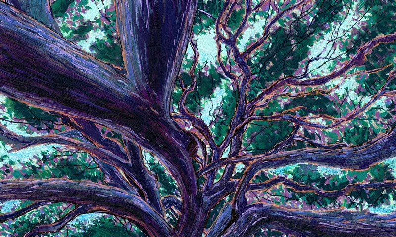 Lines of Life
