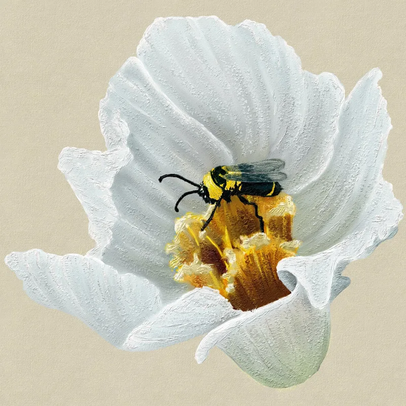 Franklinia Alatamaha