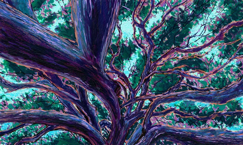 Lines of Life