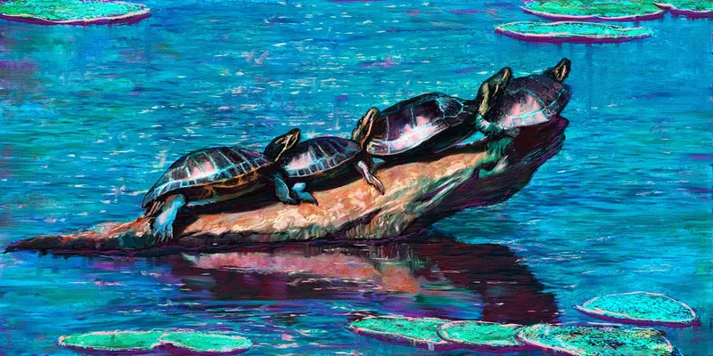 Turtles on a Rock