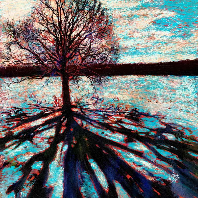Winter Shadow