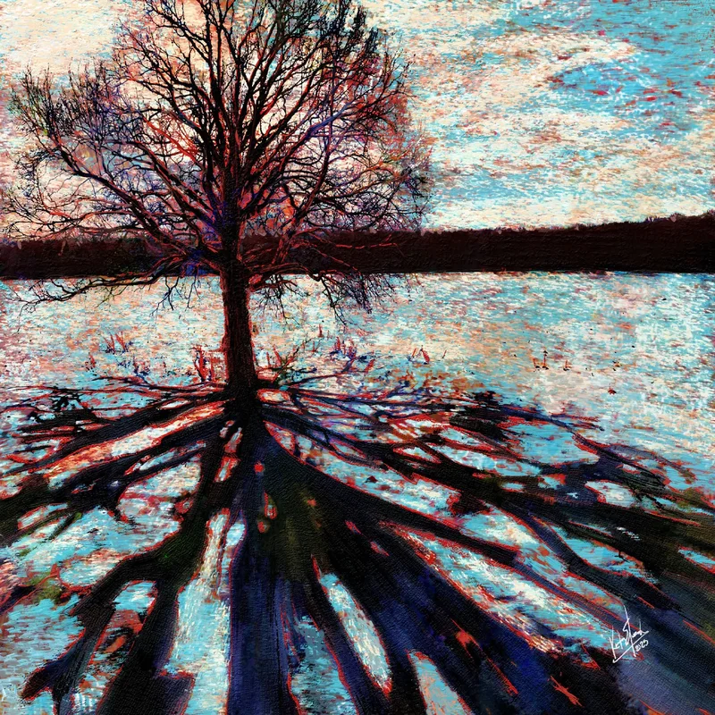 Winter Shadow