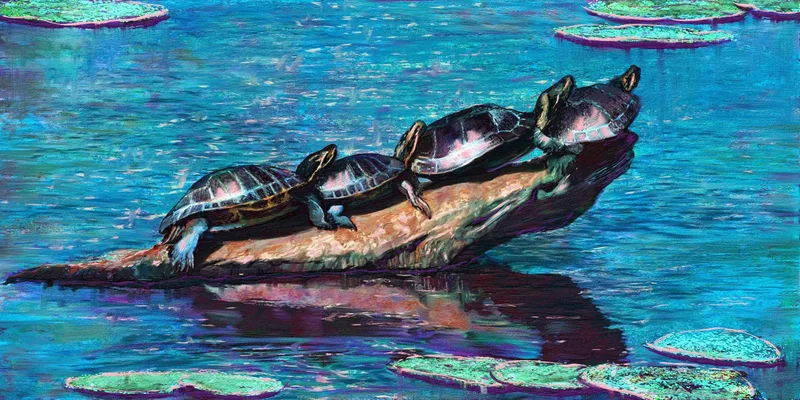 Turtles on a Rock